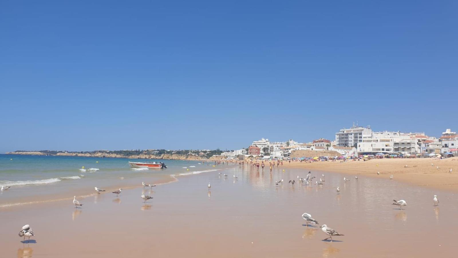 Villa Algarve Alcantarilha Eksteriør bilde